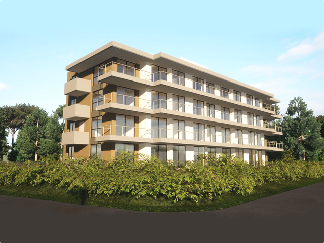 Imagen 1 de la galería