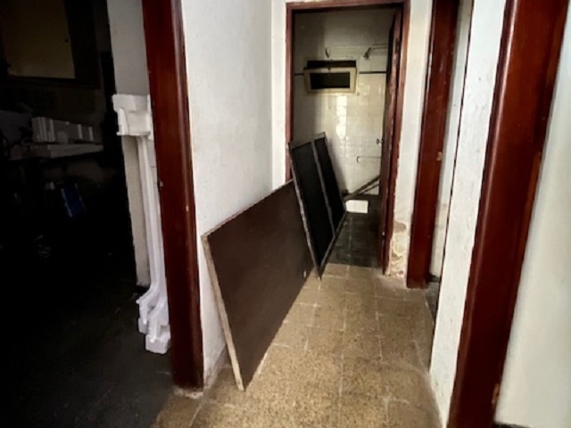 Imagen 7 de la galería