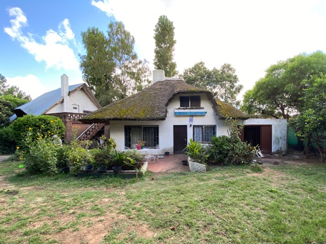 Imagen 2 de la galería