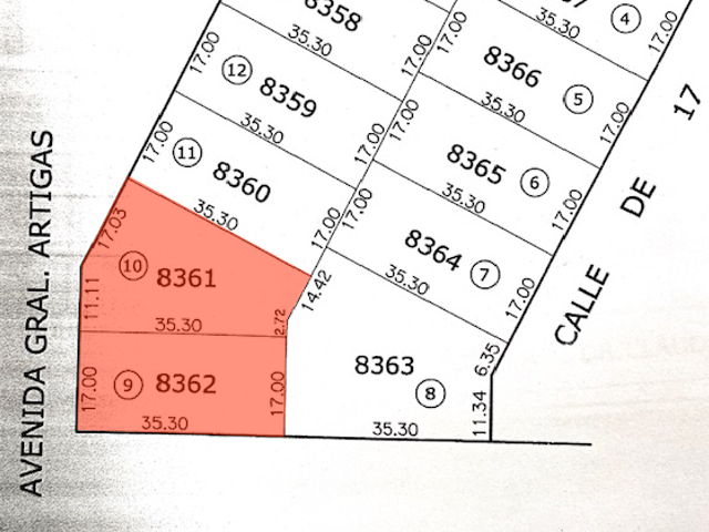 Imagen 1 de la galería