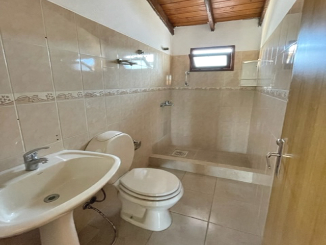 Imagen 5 de la galería