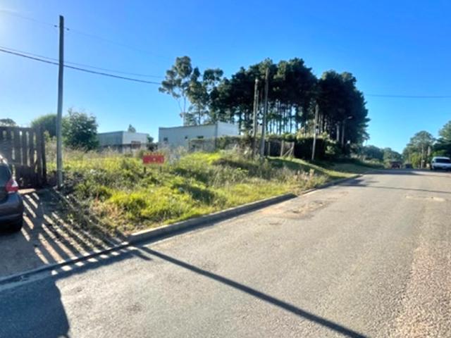 Imagen 1 de la galería