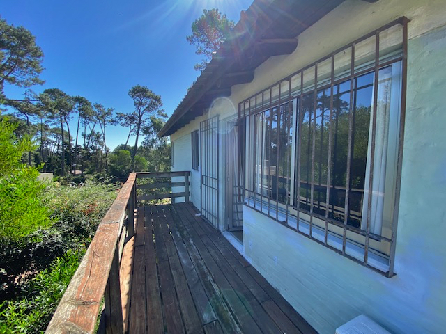 Imagen 3 de la galería