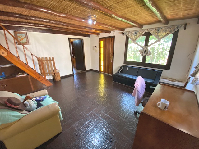 Imagen 3 de la galería