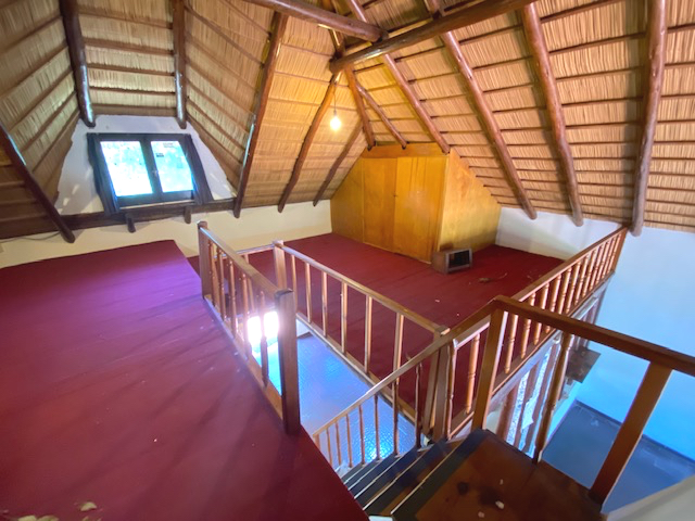 Imagen 7 de la galería