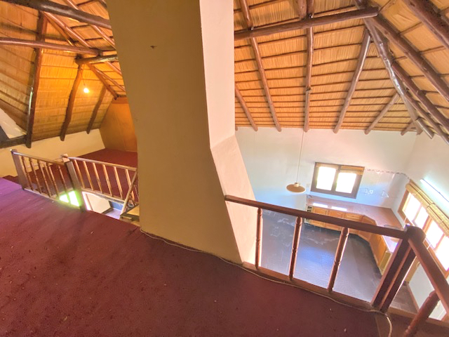 Imagen 8 de la galería