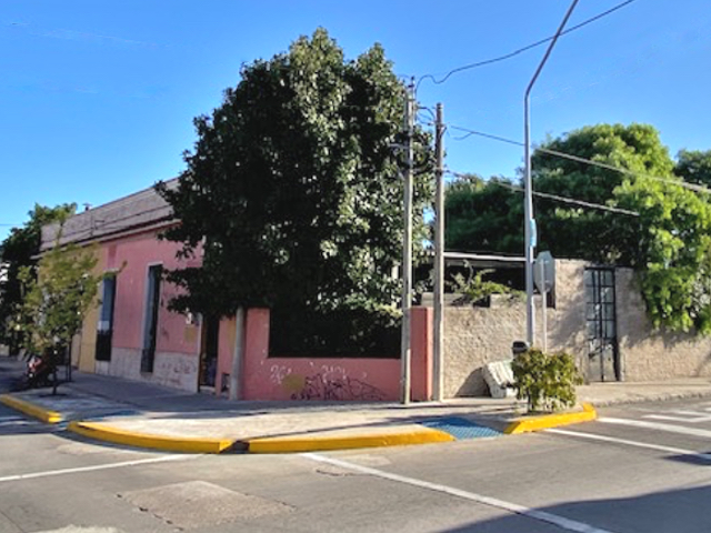 Imagen 11 de la galería