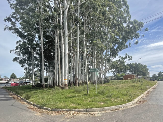 Imagen 1 de la galería