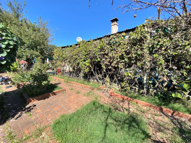 Imagen 7 de la galería