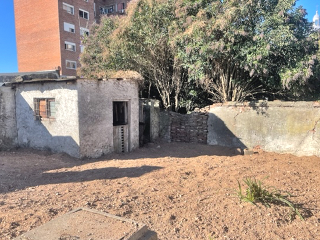 Imagen 2 de la galería