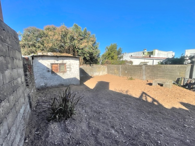 Imagen 1 de la galería