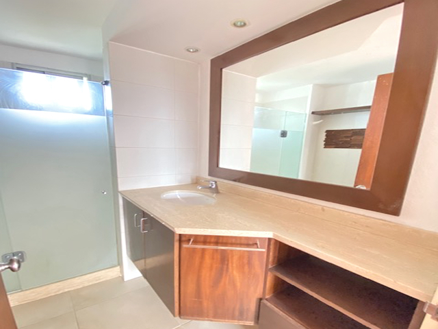 Imagen 13 de la galería