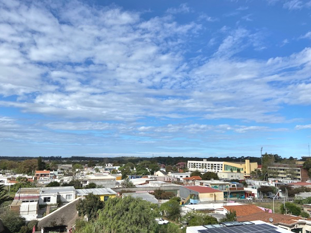 Imagen 8 de la galería