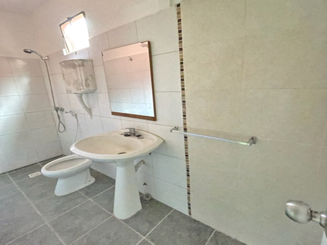 Imagen 5 de la galería