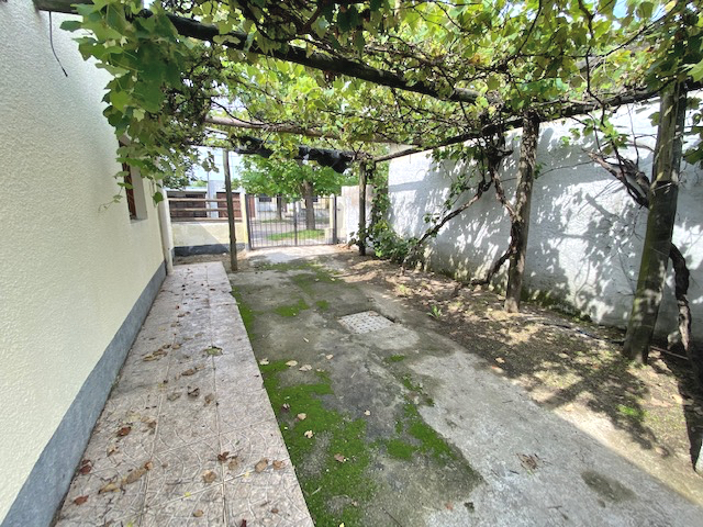 Imagen 3 de la galería