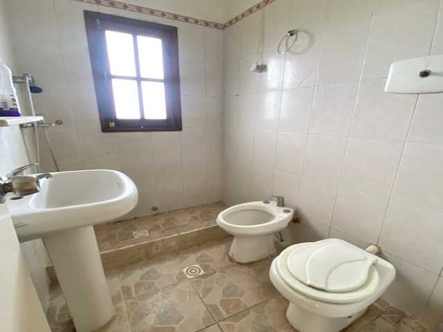 Imagen 8 de la galería