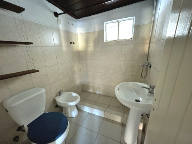 Imagen 6 de la galería