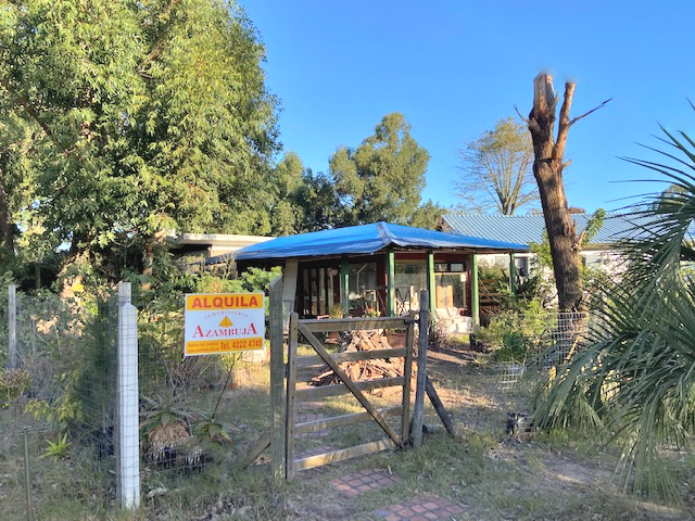 Imagen 1 de la galería