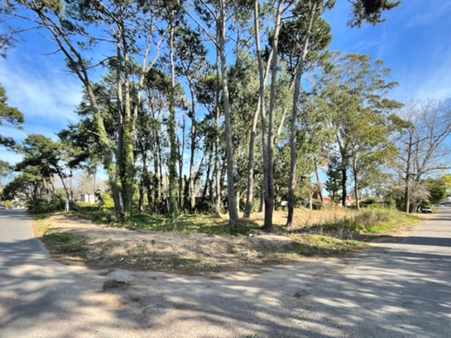 Imagen 1 de la galería