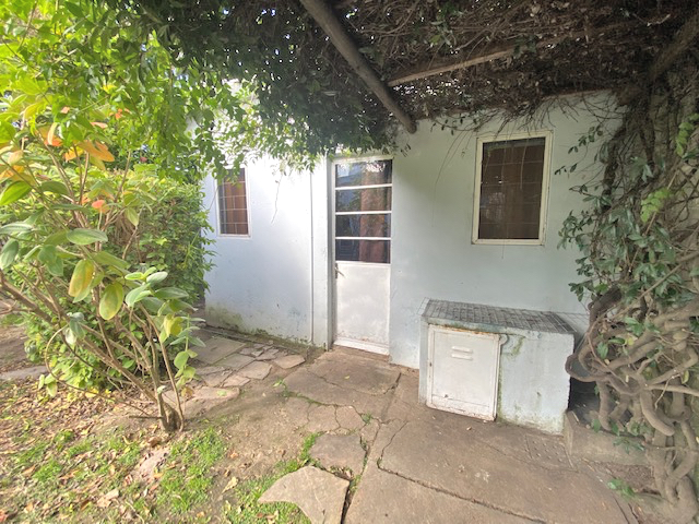 Imagen 1 de la galería