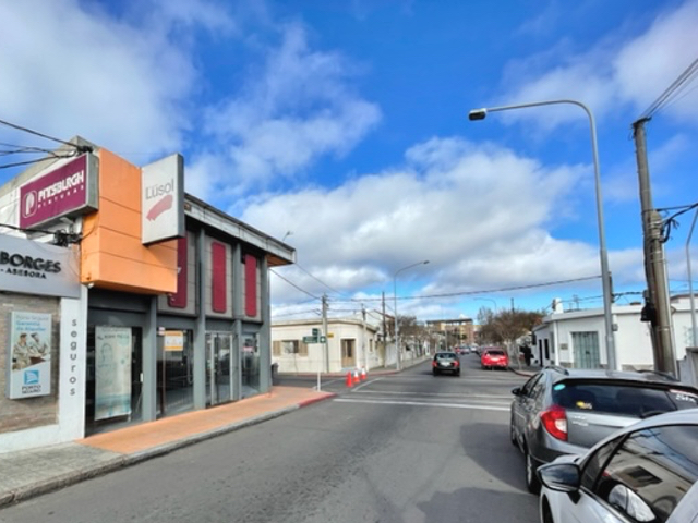 Imagen 7 de la galería