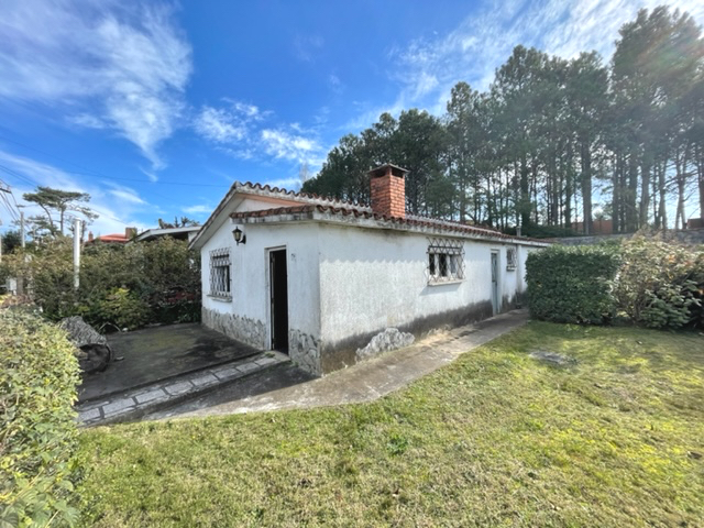 Imagen 1 de la galería