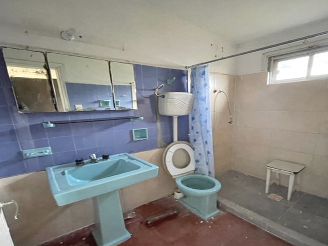 Imagen 5 de la galería