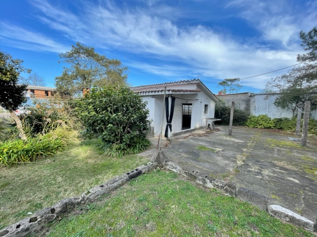 Imagen 6 de la galería