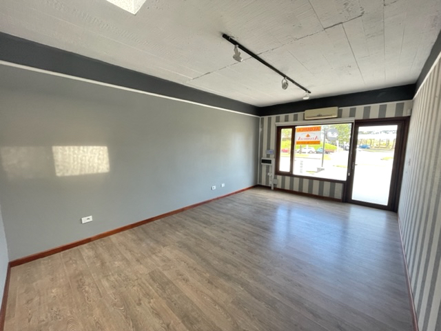 Imagen 3 de la galería