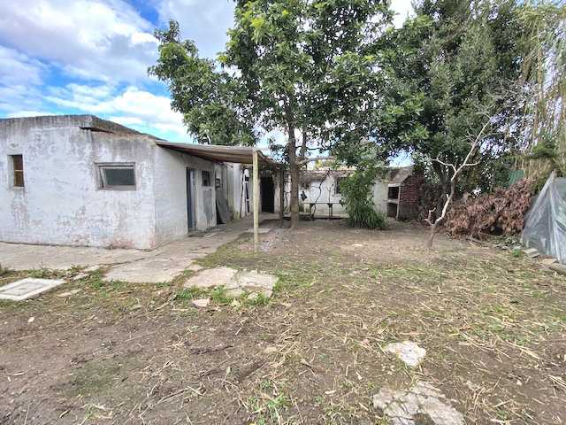 Imagen 5 de la galería