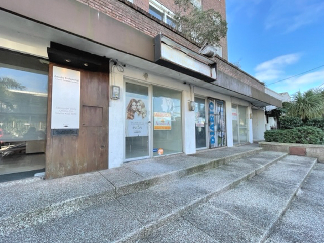 Imagen 1 de la galería