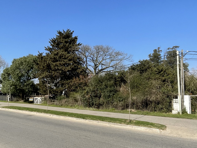 Imagen 1 de la galería