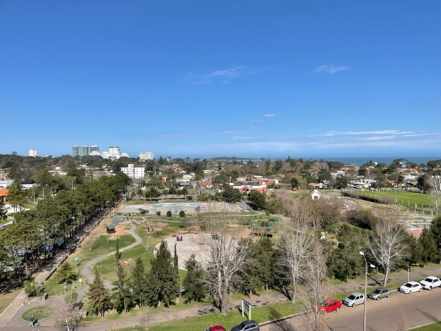 Imagen 13 de la galería