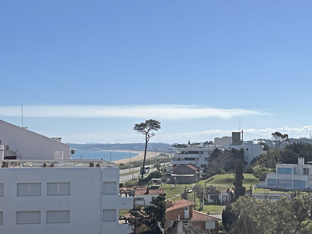 Imagen 2 de la galería