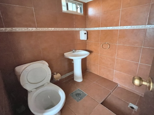 Imagen 5 de la galería