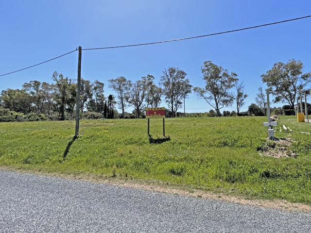 Imagen 1 de la galería