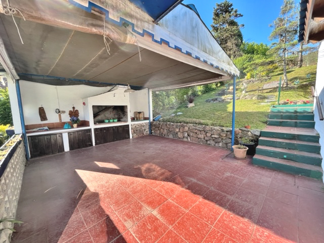 Imagen 12 de la galería