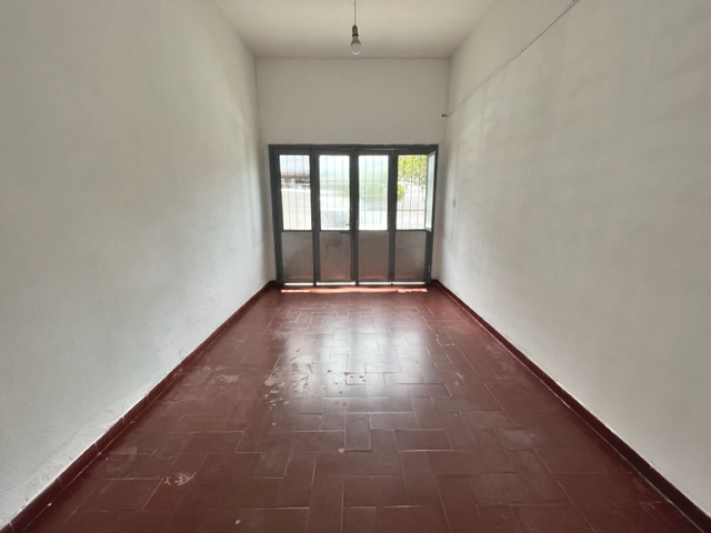 Imagen 3 de la galería