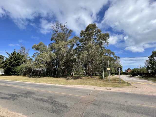 Imagen 1 de la galería