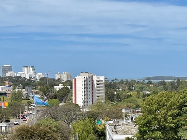 Imagen 6 de la galería