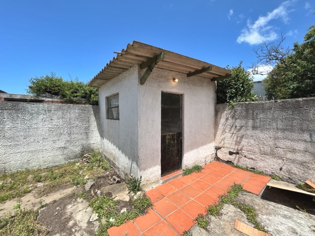 Imagen 13 de la galería