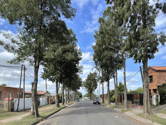 Imagen 1 de la galería