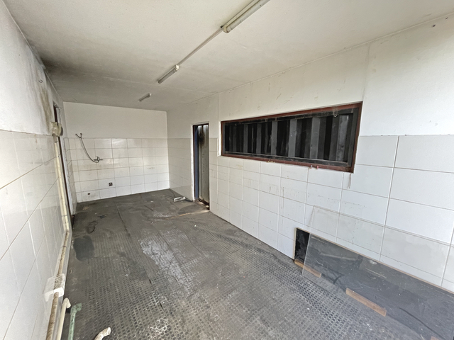 Imagen 3 de la galería