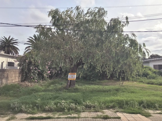 Terreno baldío a pasos del centro de Maldonado