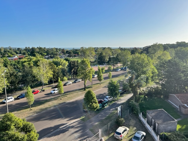 Imagen 11 de la galería