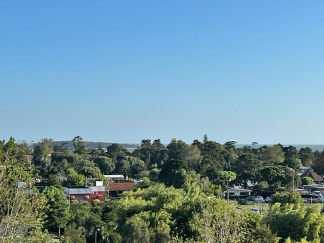 Imagen 12 de la galería