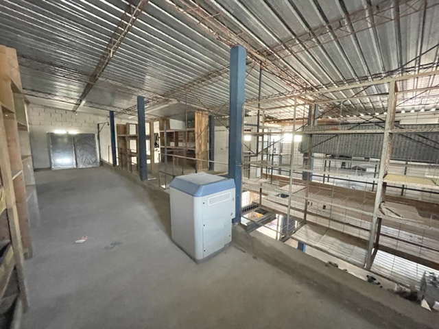 Imagen 4 de la galería