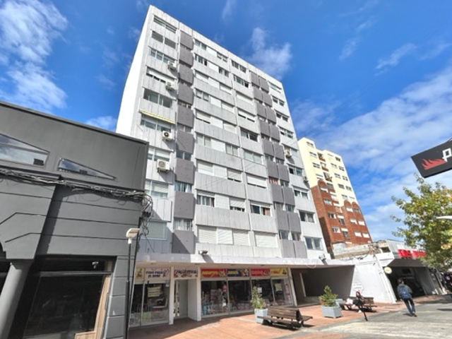 Imagen 1 de la galería