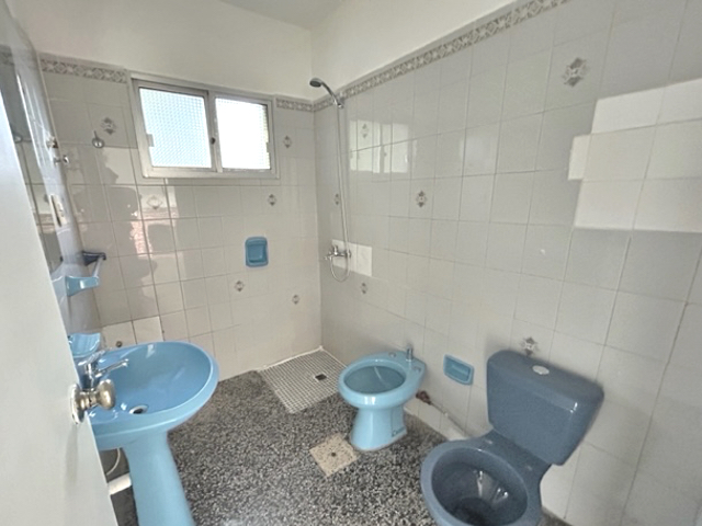 Imagen 8 de la galería