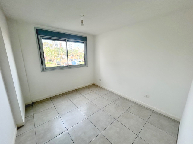 Imagen 3 de la galería